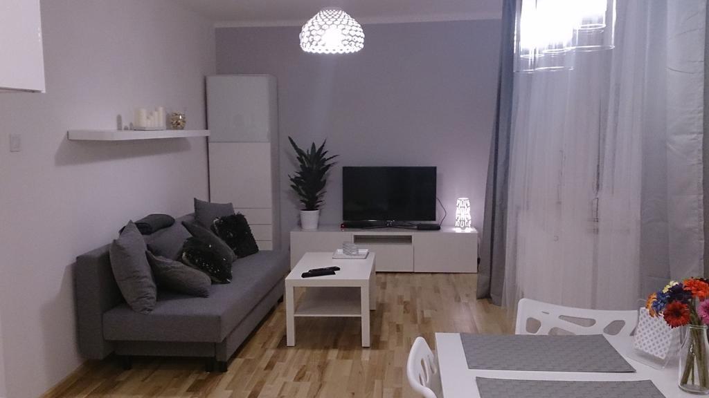 1 Bedroom City Center Apartment Katowice Kamer foto