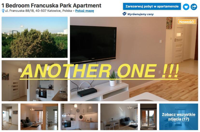 1 Bedroom City Center Apartment Katowice Buitenkant foto